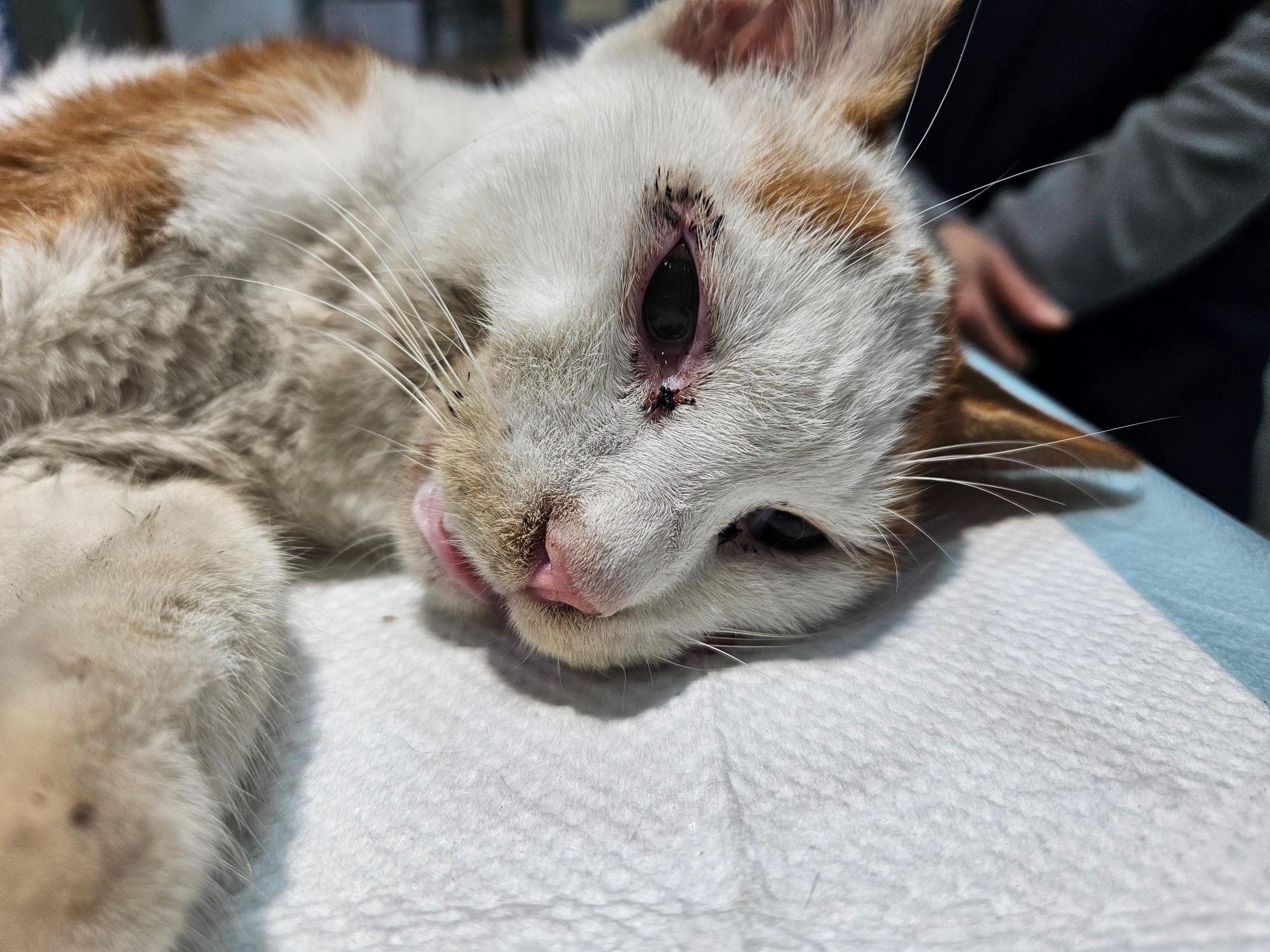 종료(방사) 한국 …